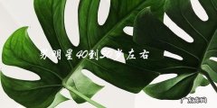 40-50岁男明星：谁将成为下一个风头浪尖？