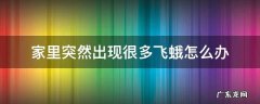 家里面突然很多飞蛾 家里突然出现很多飞蛾怎么办
