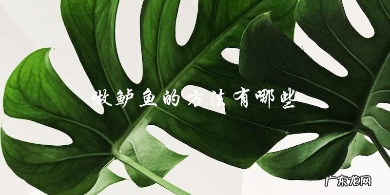 做鲈鱼的方法有哪些