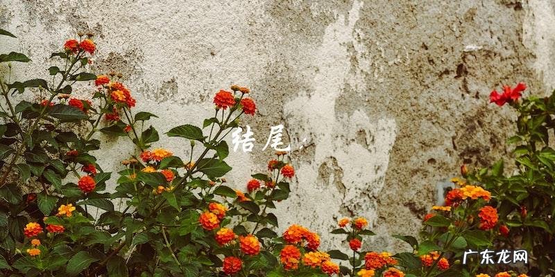 周百福珠宝:正规品牌还是伪装的骗局?