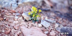 谁是娱乐圈最具潜力的90后男星？
