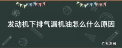 发动机下排气漏机油怎么什么原因 发动机下排气喷机油什么原因