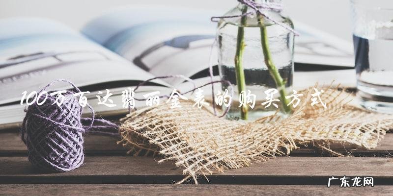 100万百达翡丽金表