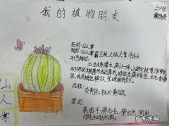 仙人掌记录卡怎么写？仙人掌记录卡怎么制作？