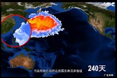 日本宣布今日起核污染水排海！影响有多大？海鲜还能吃吗？