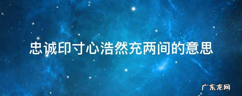 忠诚印寸心浩然充两间的意思 忠诚印寸心 浩然充两间