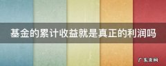 基金的累计收益就是真正的利润吗 基金累计收益是减去亏损的吗