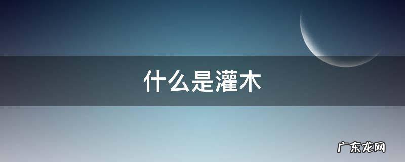 什么是灌木,乔木,草本? 什么是灌木