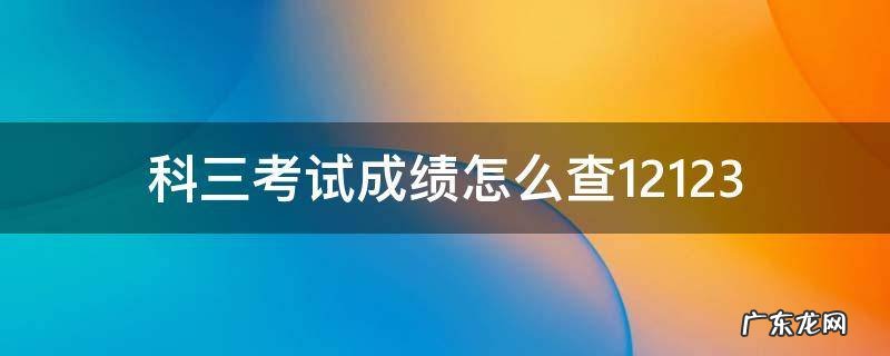 科三考试成绩怎么查12123 怎么用12123查询考试科目三成绩