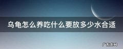 乌龟怎么养吃什么要放多少水合适 乌龟怎么养吃什么要放多少水合适?