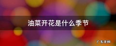 油菜是哪个季节开花的 油菜开花是什么季节
