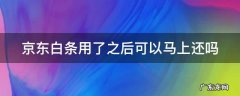 京东白条用了能马上还吗 京东白条用了之后可以马上还吗