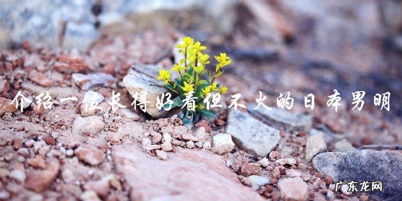 这位日本男明星长得好看，但为什么还不火？