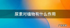 尿素对植物有什么作用 尿素对盆栽植物的作用