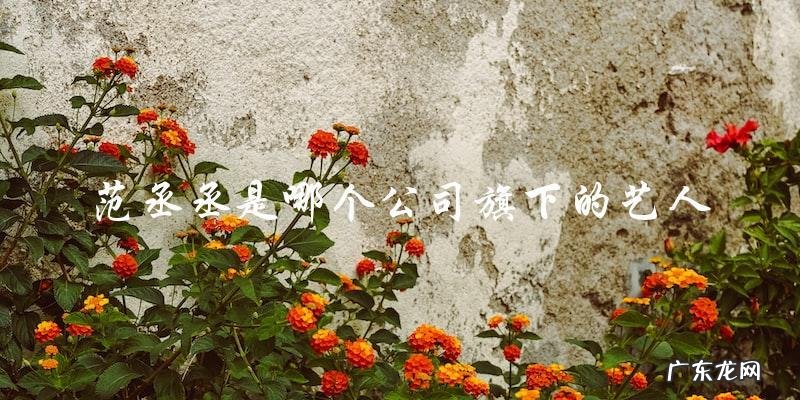 范丞丞的背后：他属于哪个公司旗下的艺人