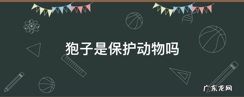 狍子是保护动物吗可以吃吗 狍子是保护动物吗