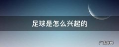 足球运动兴起 足球是怎么兴起的