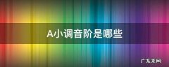 a小调音阶与A大调音阶的区别 A小调音阶是哪些