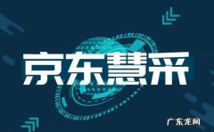 京东有哪些国际平台类型？