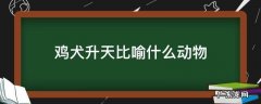 鸡犬升天比喻什么动物 鸡犬升天的动物