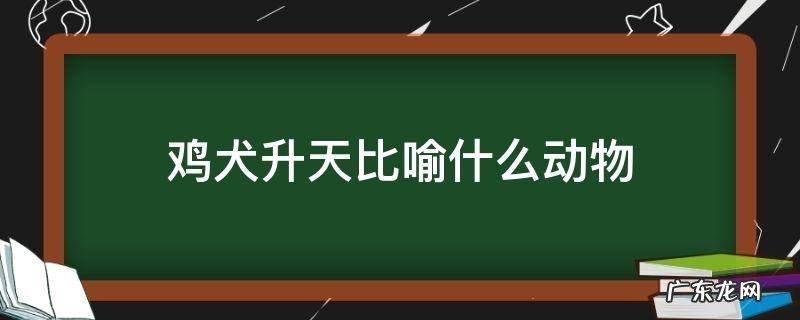 鸡犬升天比喻什么动物 鸡犬升天的动物