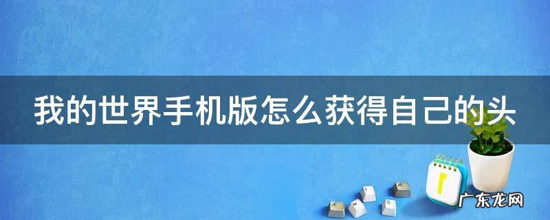 我的世界手机版怎么获得自己的头盔 我的世界手机版怎么获得自己的头