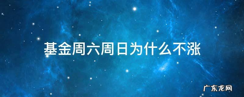 基金周六周日为什么不涨 周末基金不涨吗
