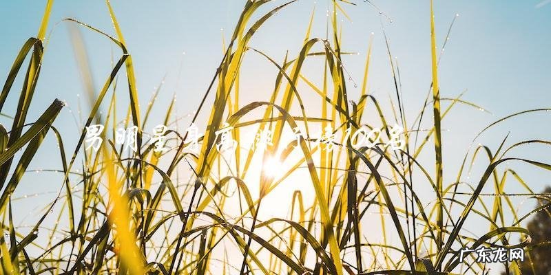 你猜谁是男明星身高排行榜前十名？