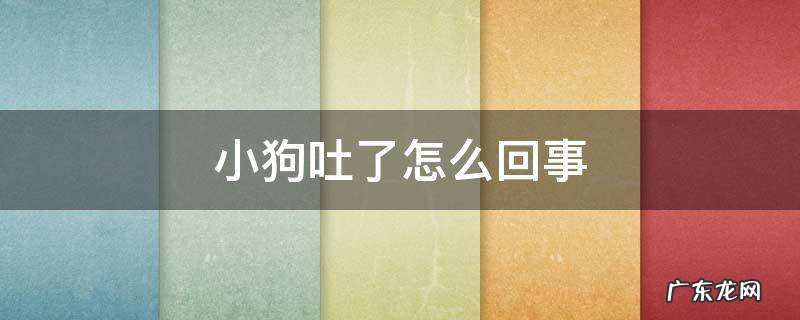 狗狗呕吐原因 小狗吐了怎么回事