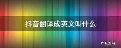 抖音英文意思 抖音翻译成英文叫什么