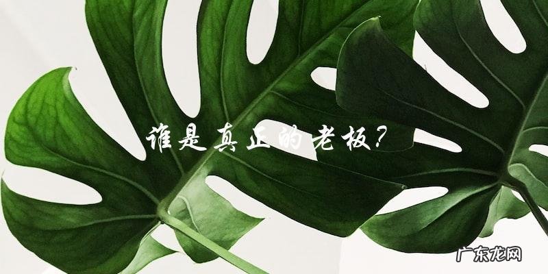 富二代打工记:身份隐秘,谁是真正的老板?