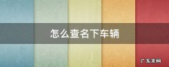 怎么查名下车辆 交管123怎么查名下车辆