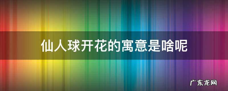 仙人球开花寓意着什么含义 仙人球开花的寓意是啥呢