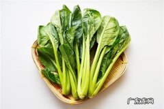 小松菜在中国叫什么