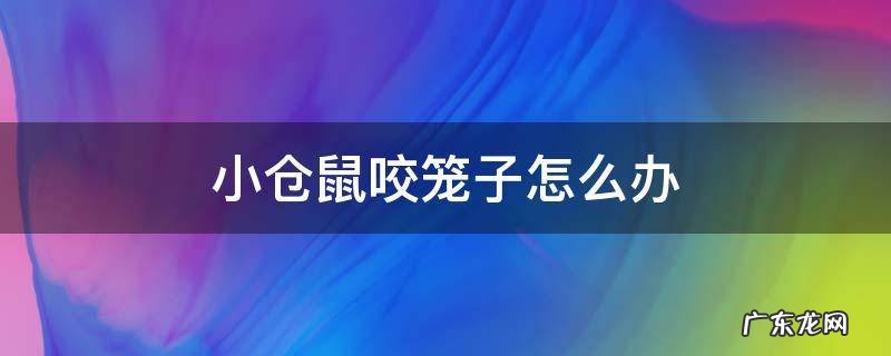 小仓鼠咬笼子怎么办 小仓鼠喜欢咬笼子怎么办