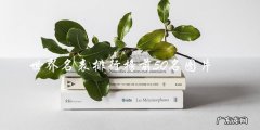世界名表排行榜前50名图片