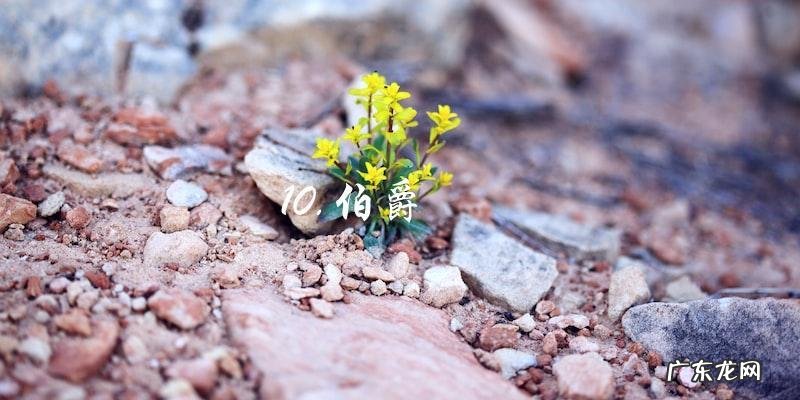 世界名表排行榜前50名图片