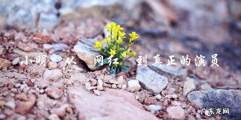 三线人物:背后的故事你知道吗?