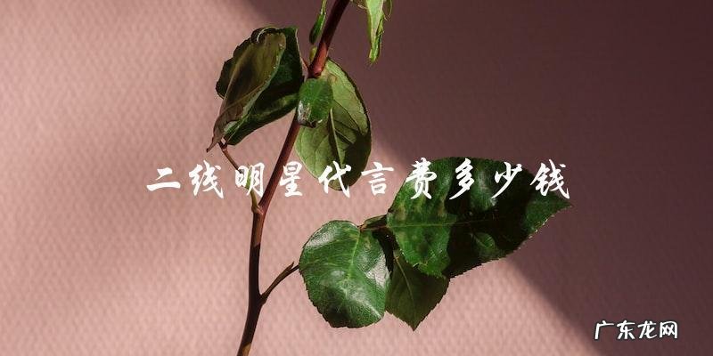 这些二线明星代言费竟然比一线还高?!