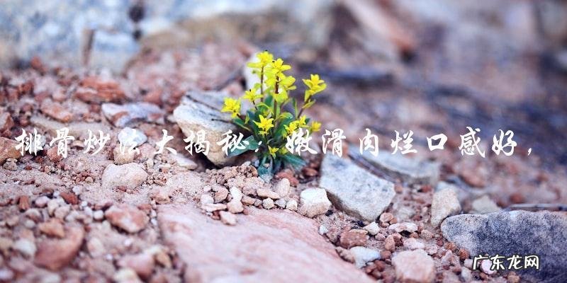 排骨炒法大嫩滑肉烂口感好,让你吃到手软!