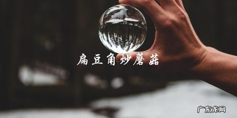 扁豆角跟什么炒好吃