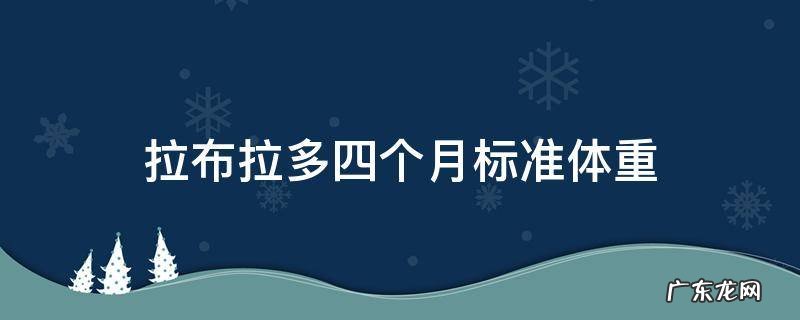 拉布拉多四个月标准体重 拉布拉多四个月的体重标准