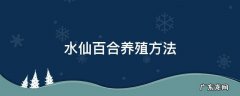 水仙百合养殖方法 水仙百合怎么养