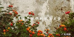 煎青萝卜丝饼：完美做法大全！