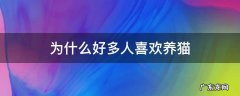 为什么好多人喜欢养猫 为什么有些人喜欢养猫?