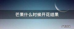芒果什么时候开花结果 芒果什么时候开花结果2020美国大选预测