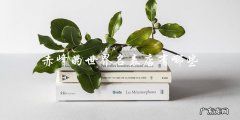 赤峰世界名表店，你知道有哪些吗？