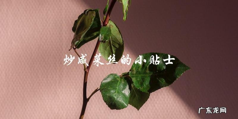 最正宗的炒咸菜丝