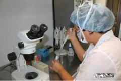 如何用电脑马赛克视频中的个人隐私内容