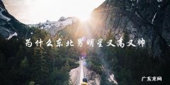 东北男明星高帅的背后，隐藏着什么惊人的秘密？